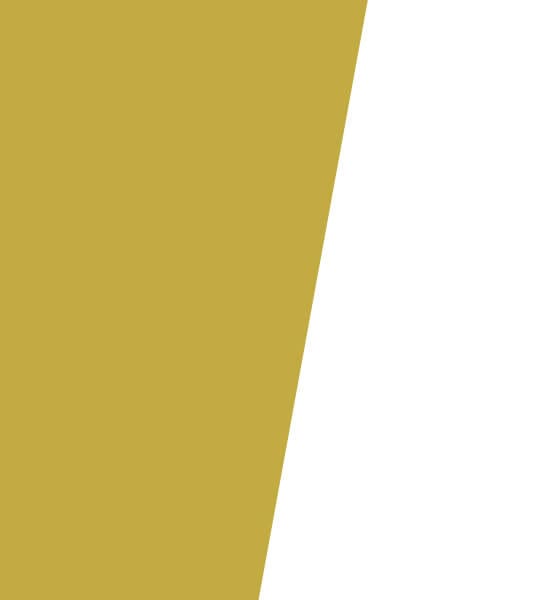 section-ceo